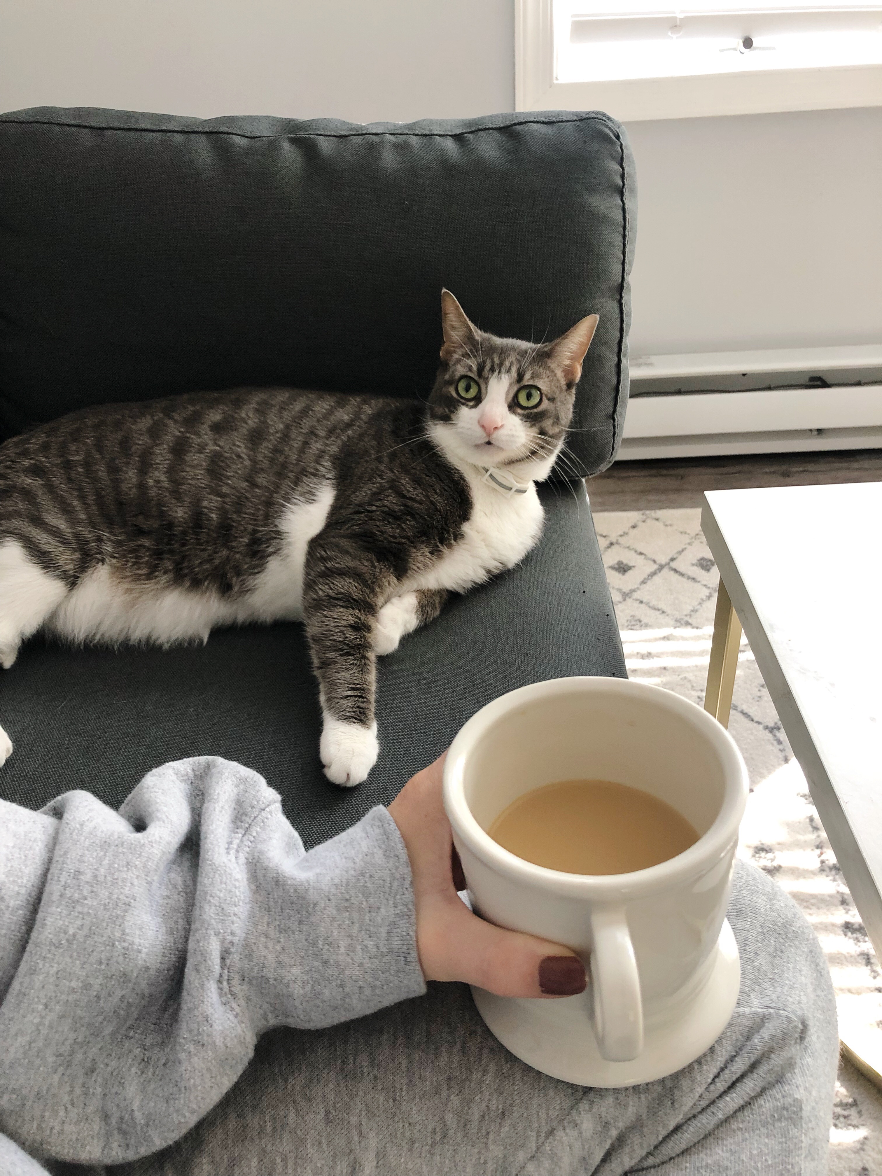 Coffee, Cat, Sunday Morning